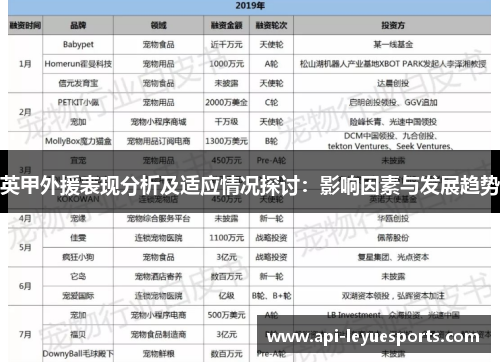 英甲外援表现分析及适应情况探讨：影响因素与发展趋势