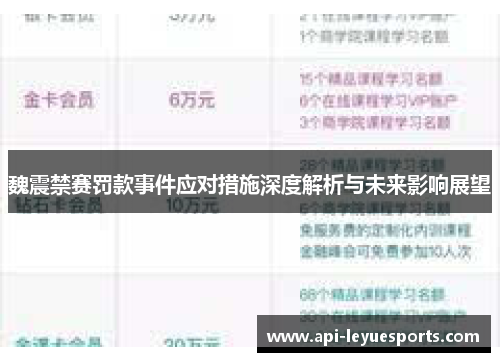 魏震禁赛罚款事件应对措施深度解析与未来影响展望